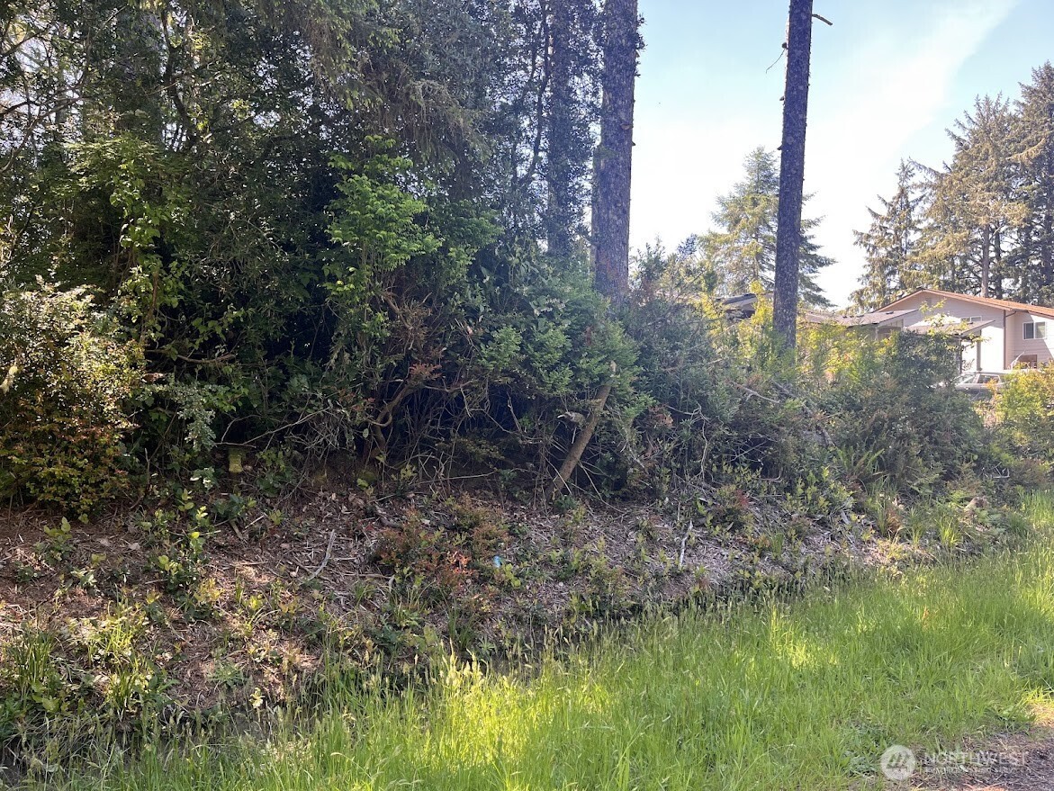 559 Sunset Avenue Property Photo 1