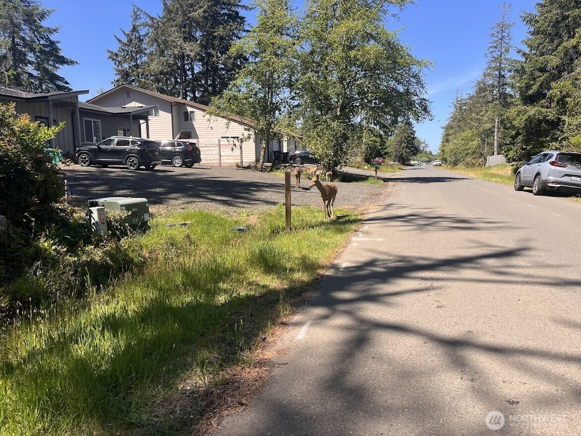 559 Sunset Avenue Property Photo 4