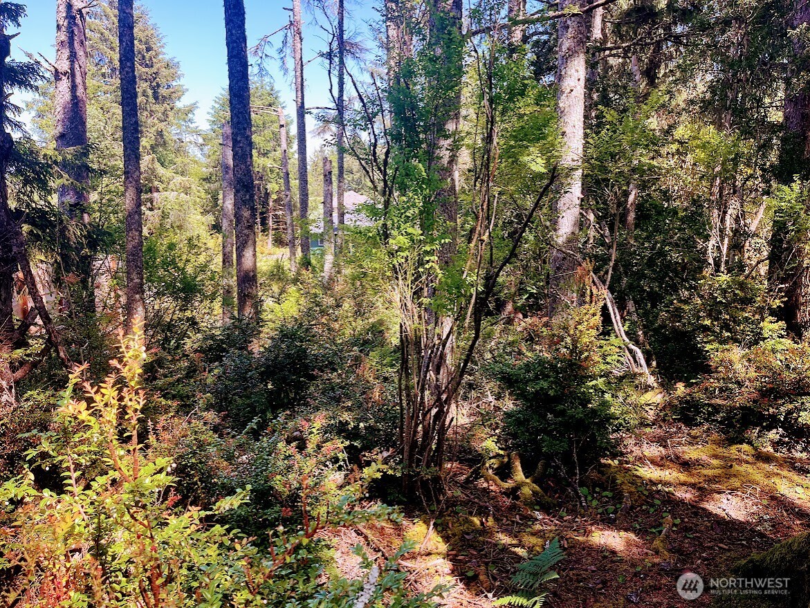 559 Sunset Avenue Property Photo 5