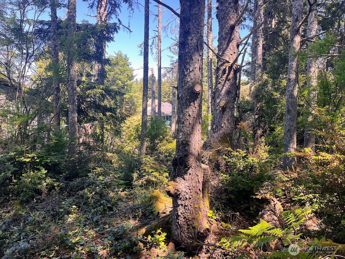 559 Sunset Avenue Property Photo 6