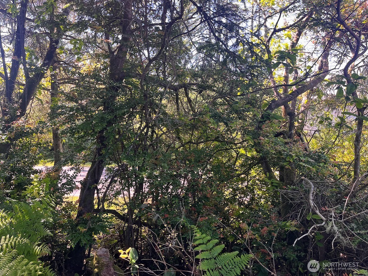 559 Sunset Avenue Property Photo 7