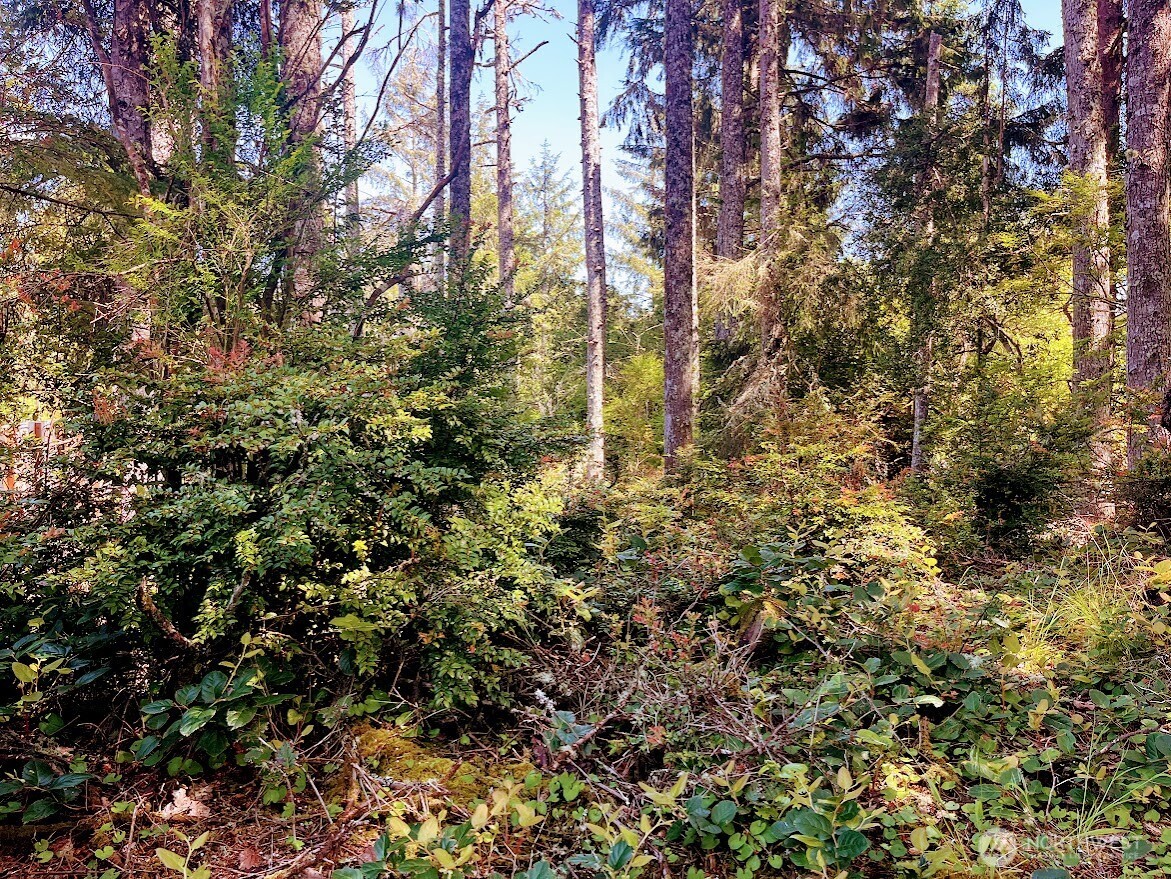 559 Sunset Avenue Property Photo 9