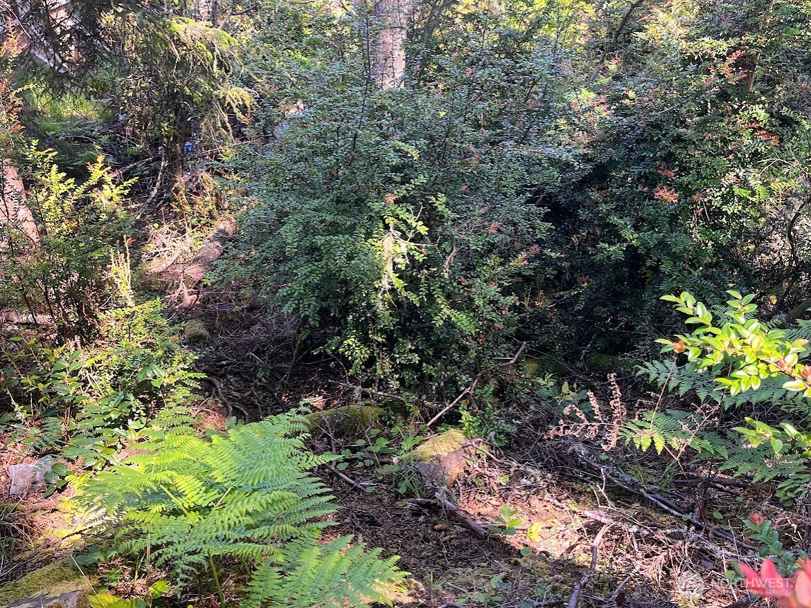 559 Sunset Avenue Property Photo 10