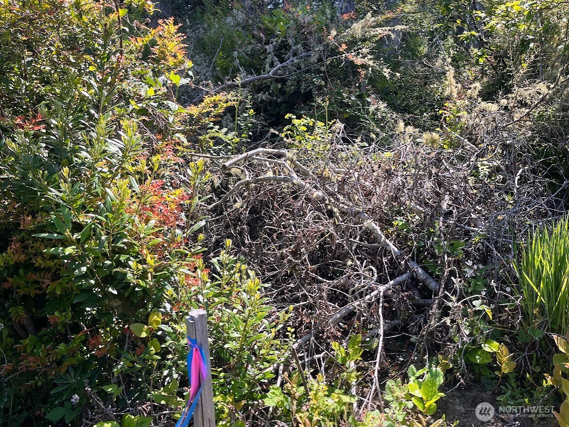 559 Sunset Avenue Property Photo 13
