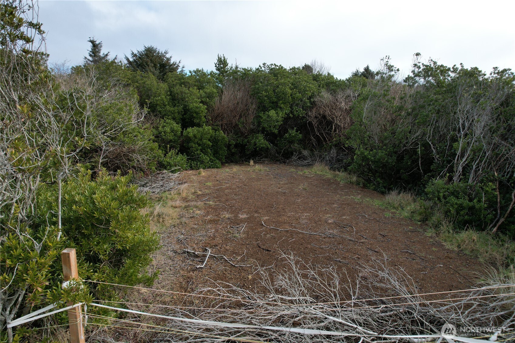942 Ocean Shores Boulevard Property Photo 6