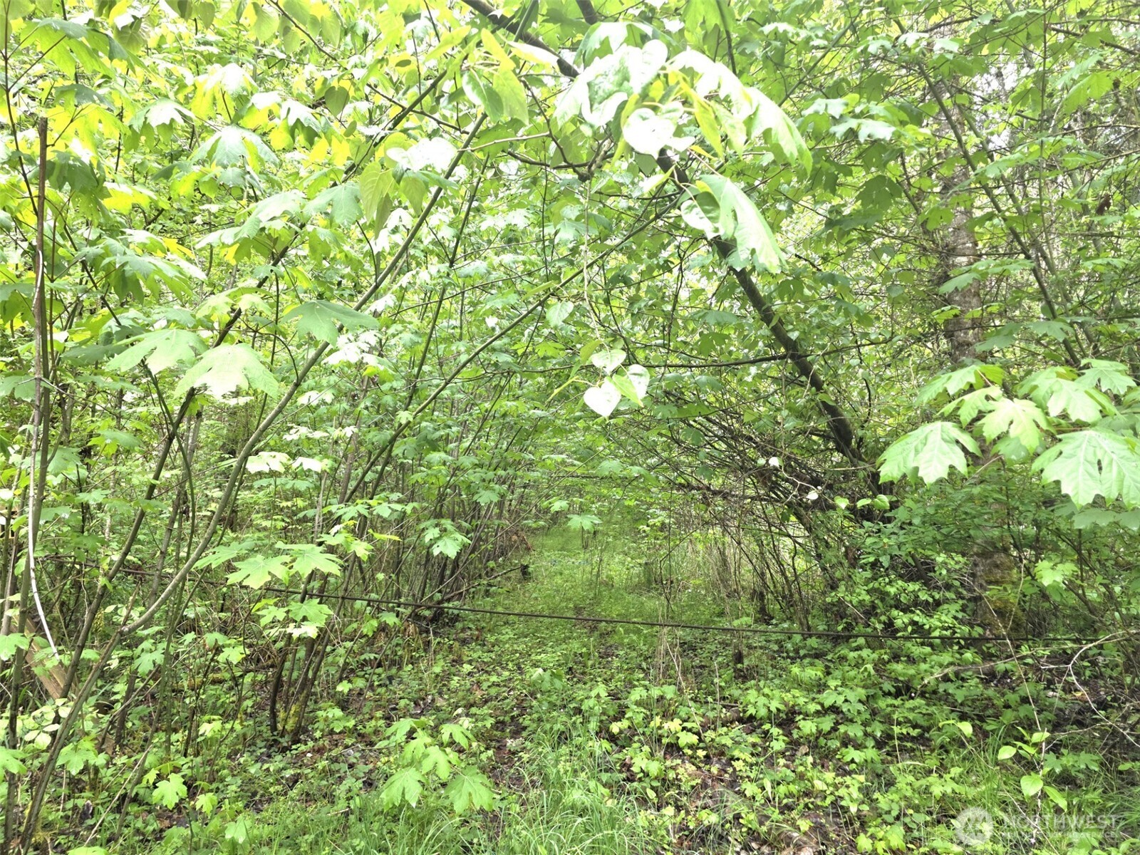 36610 48th Avenue Property Photo 2