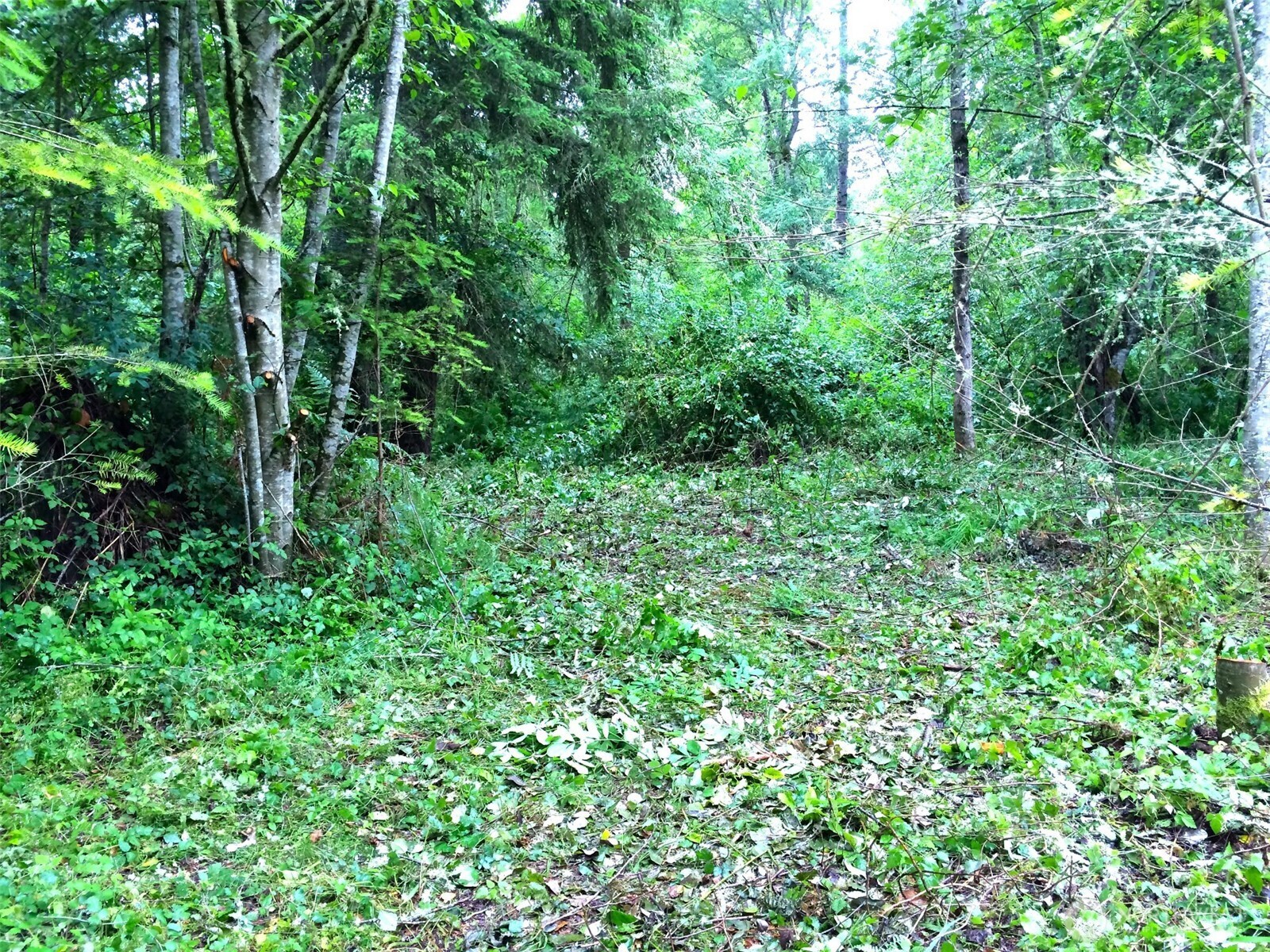 36610 48th Avenue Property Photo 4
