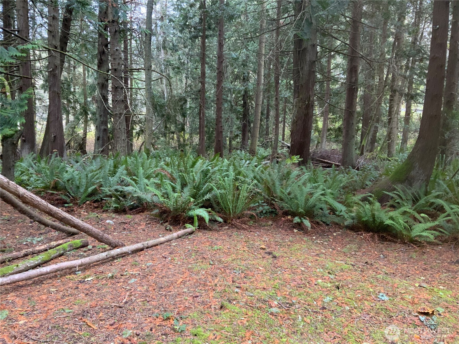 4853 Cape George Road Property Photo 6