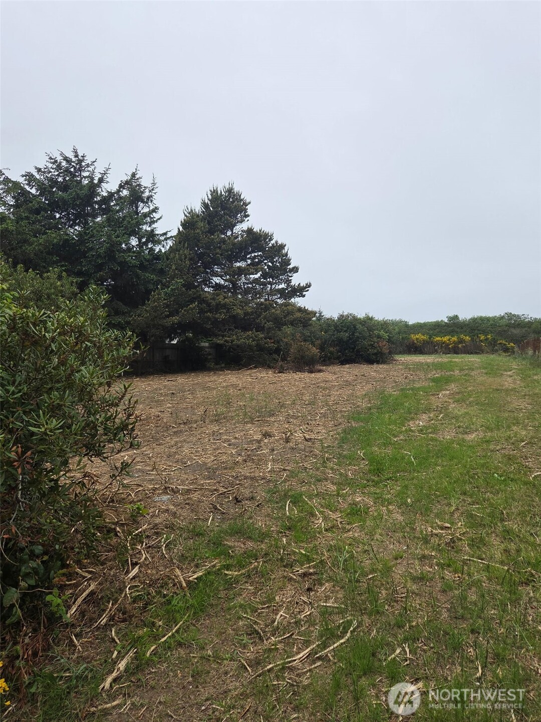 379 Ocean Shores Boulevard Property Photo 4