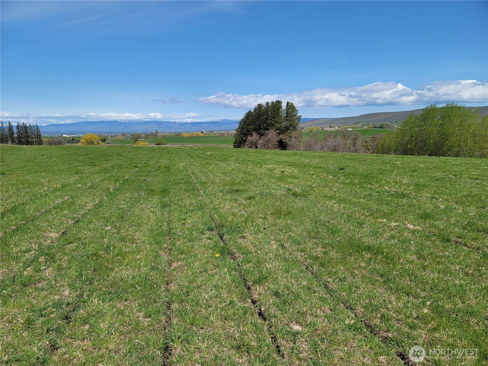 426 Nka Rolling Hill Drive Property Photo 2
