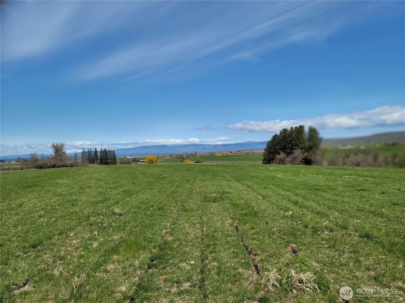 426 Nka Rolling Hill Drive Property Photo 3