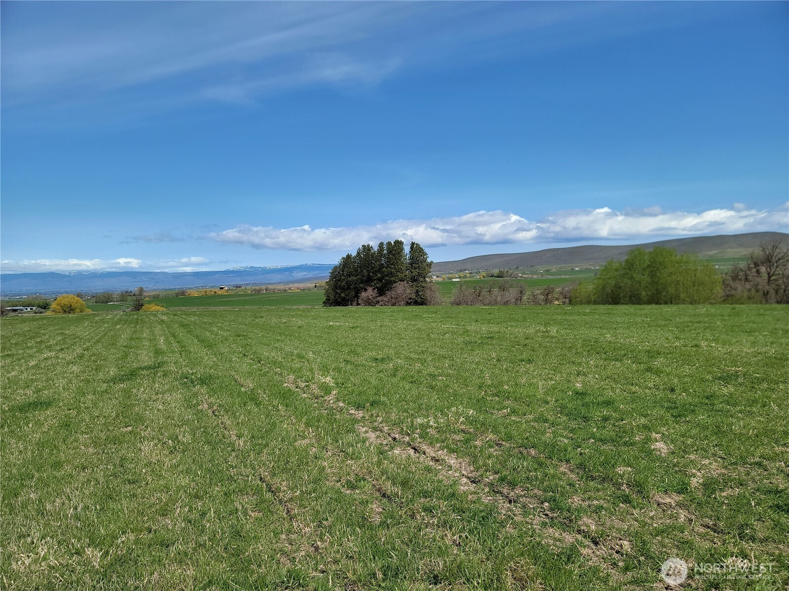 426 Nka Rolling Hill Drive Property Photo 6