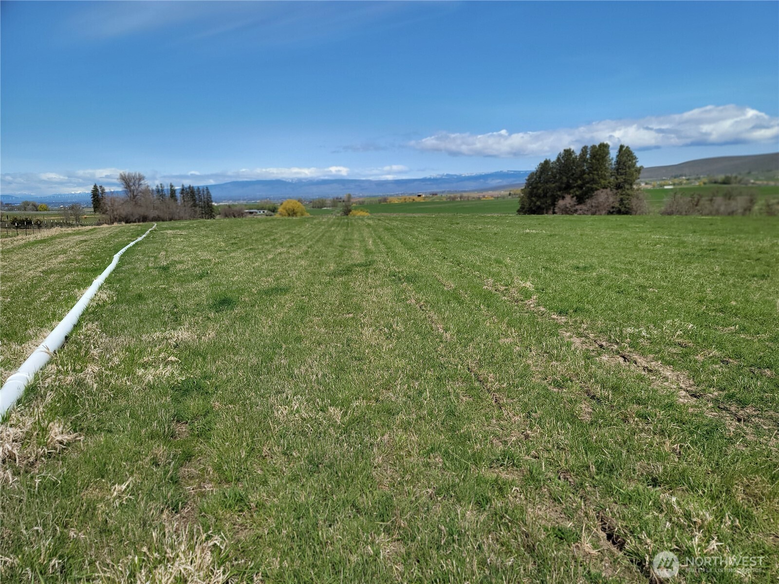 426 Nka Rolling Hill Drive Property Photo 7