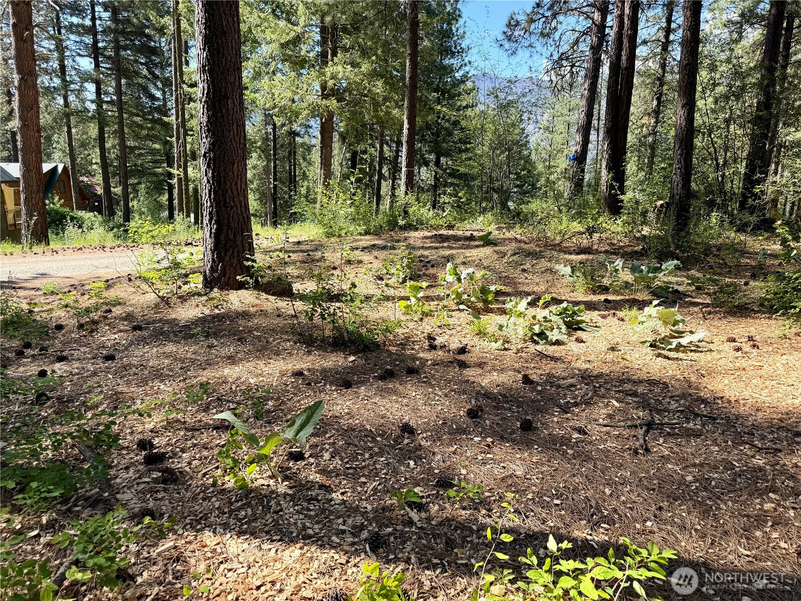 11 Highland Meadows Property Photo 2