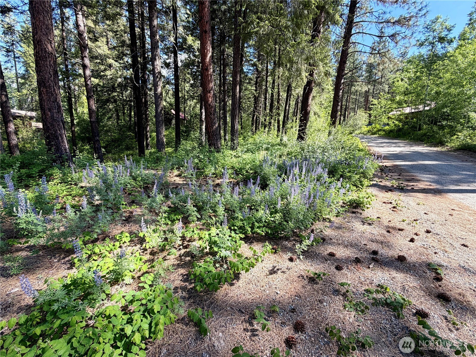 11 Highland Meadows Property Photo 3
