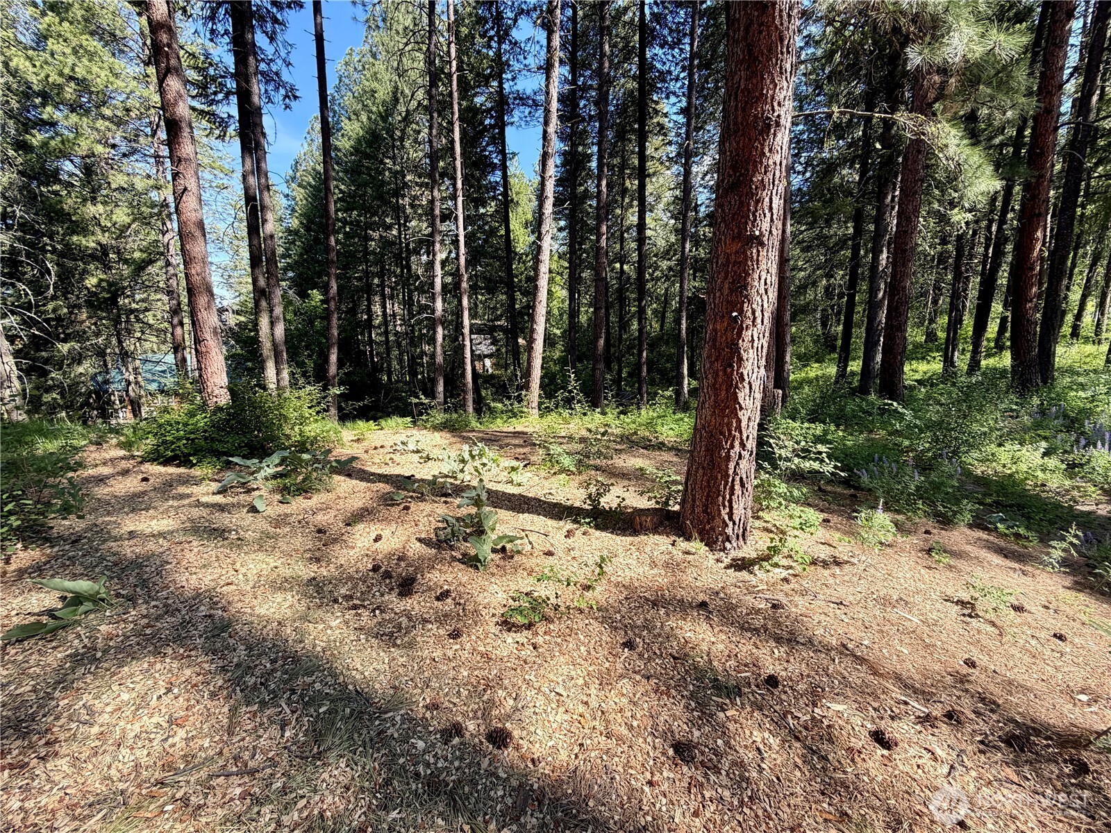 11 Highland Meadows Property Photo 4