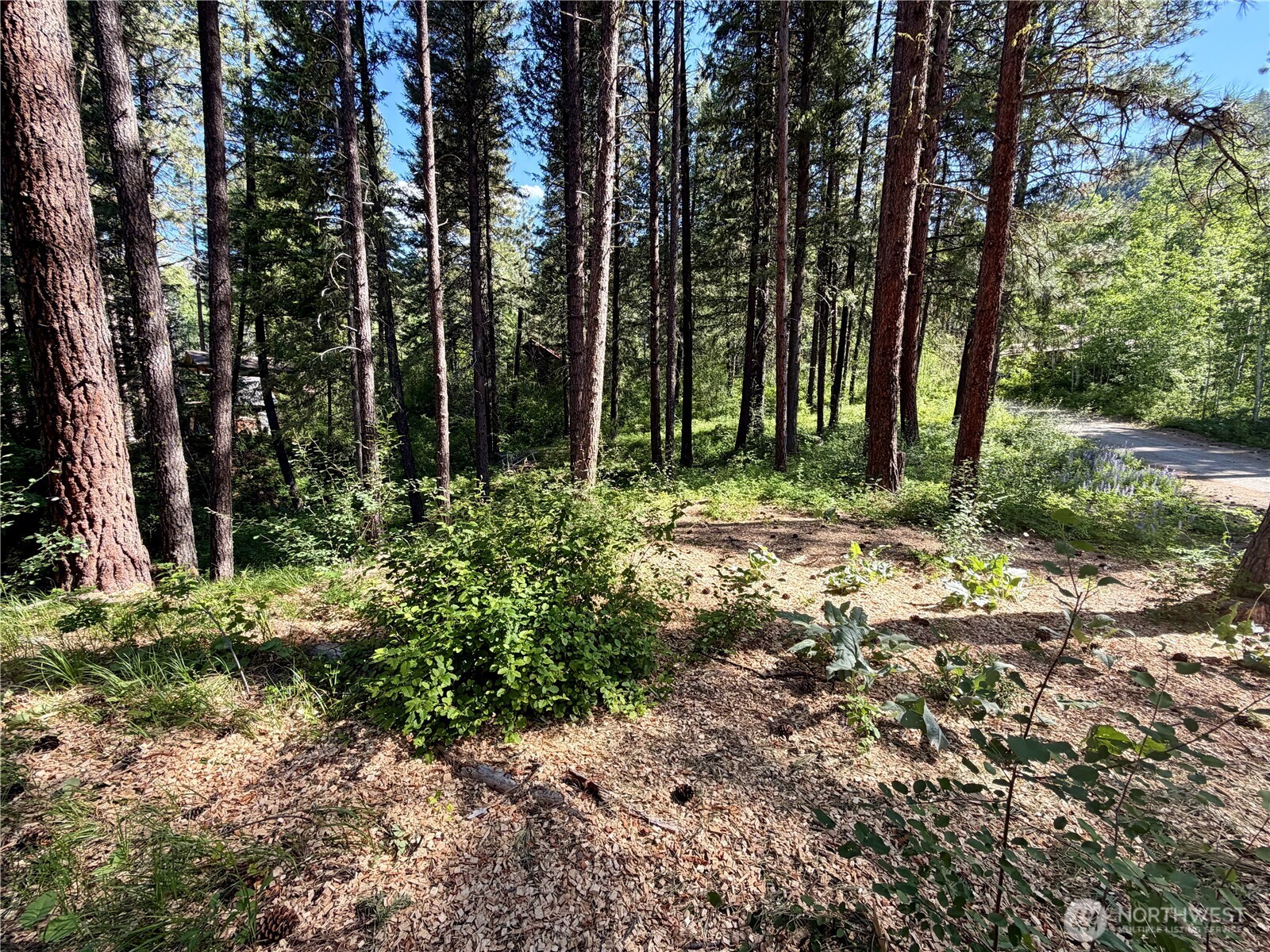 11 Highland Meadows Property Photo 5