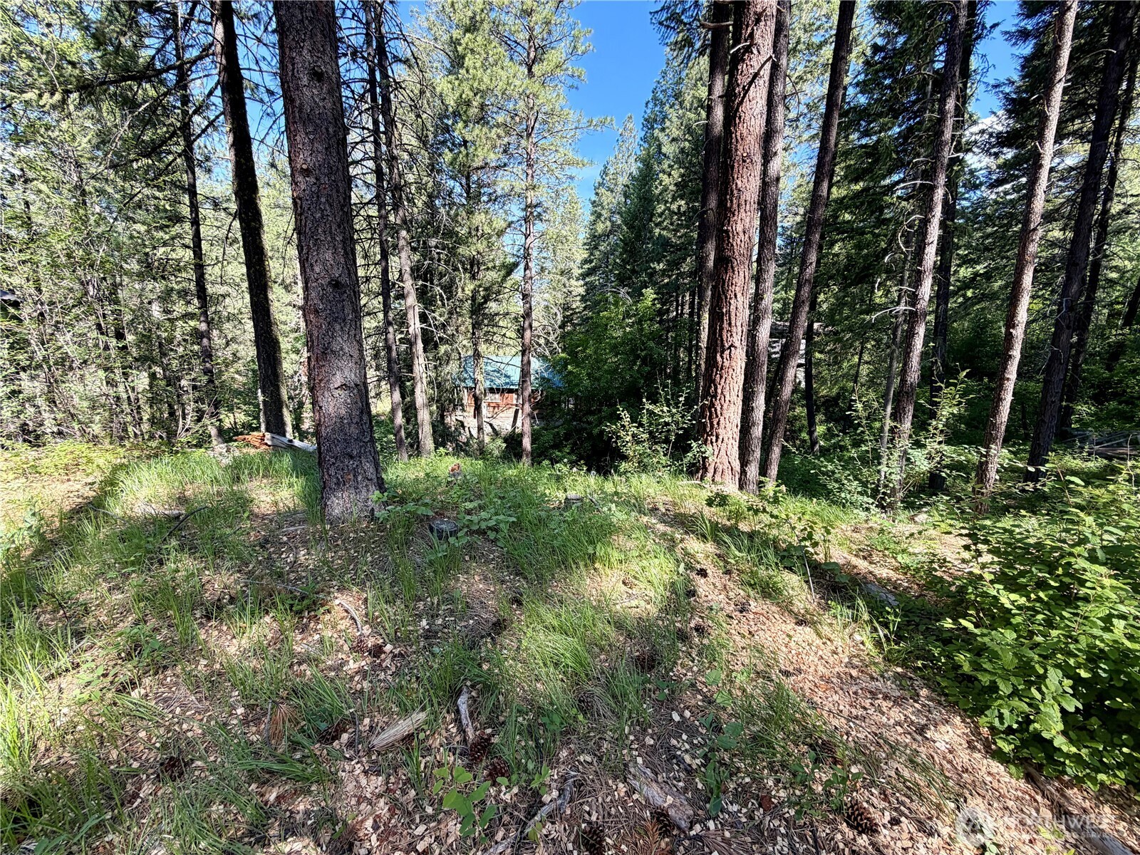 11 Highland Meadows Property Photo 9