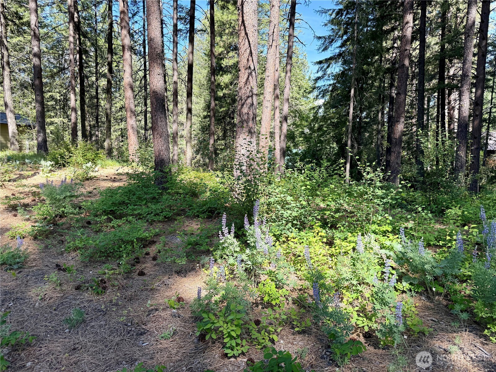 11 Highland Meadows Property Photo 10