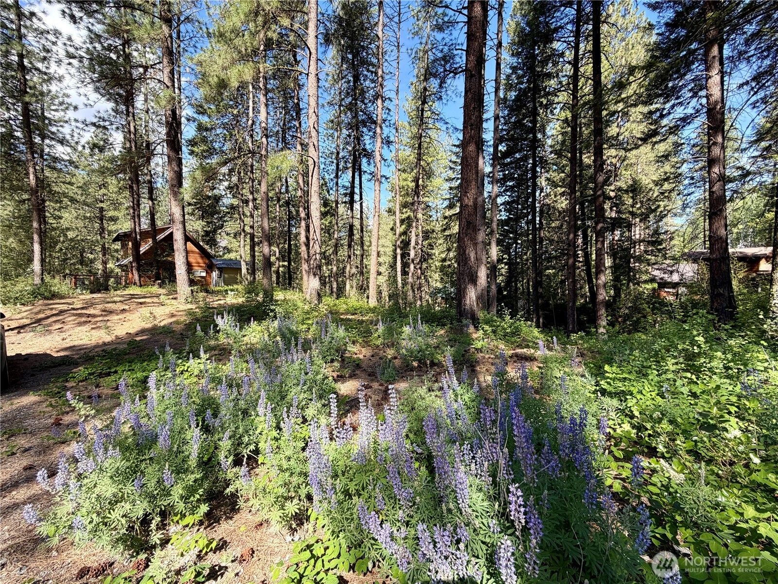 11 Highland Meadows Property Photo 11
