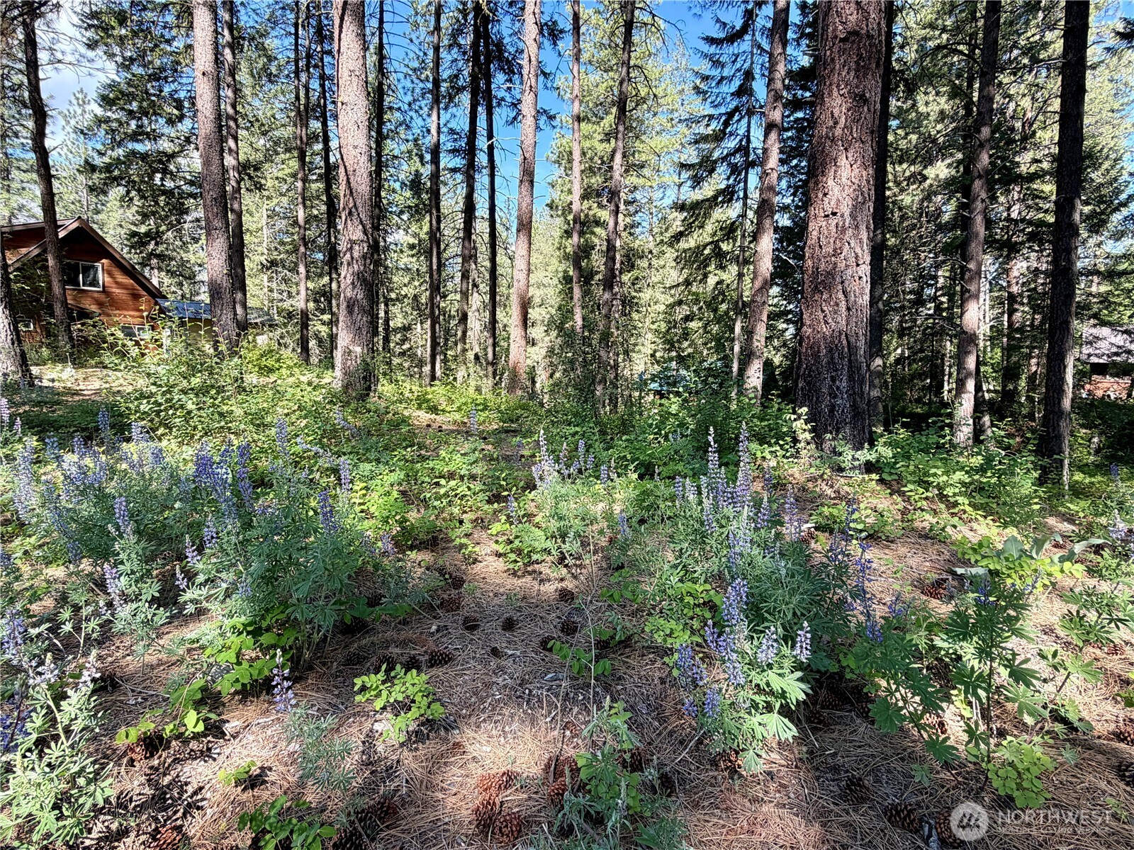 11 Highland Meadows Property Photo 13