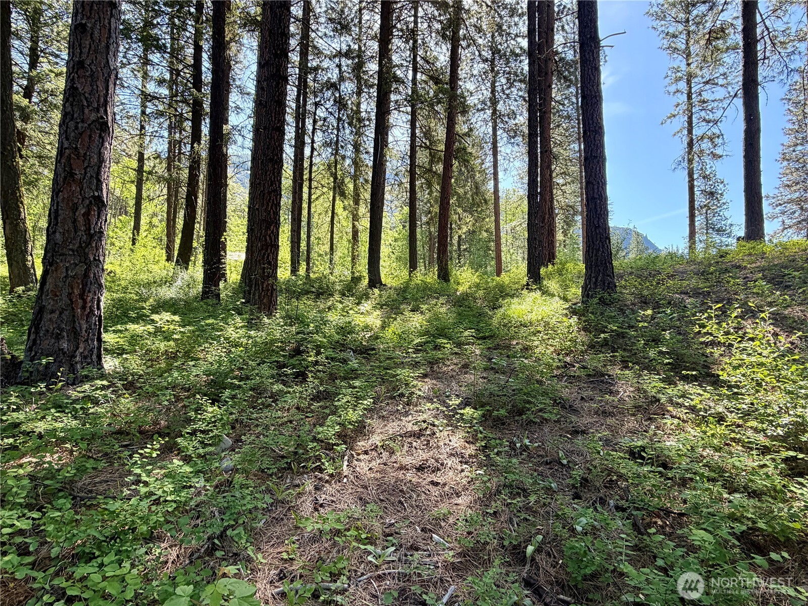 11 Highland Meadows Property Photo 15