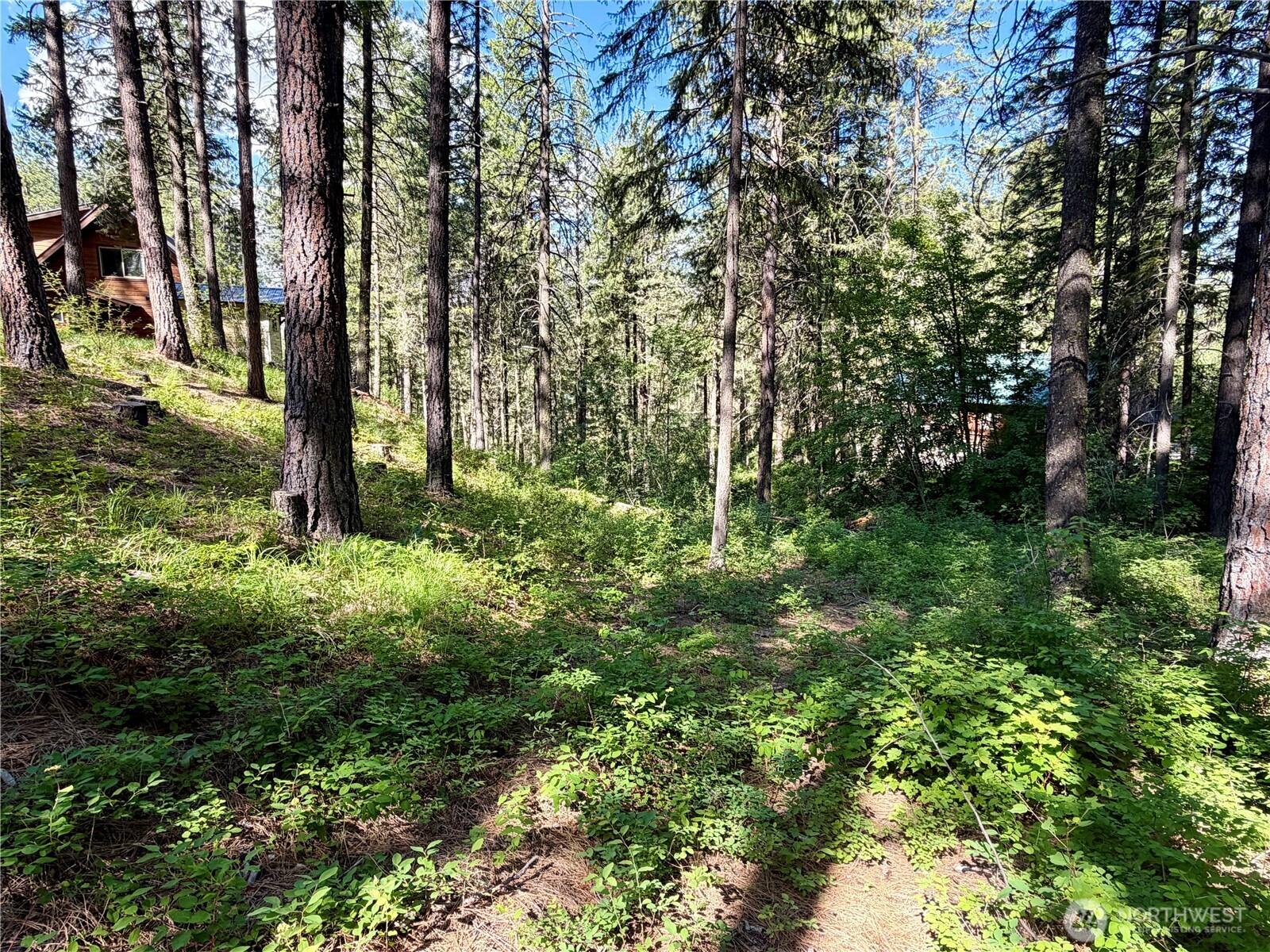 11 Highland Meadows Property Photo 17