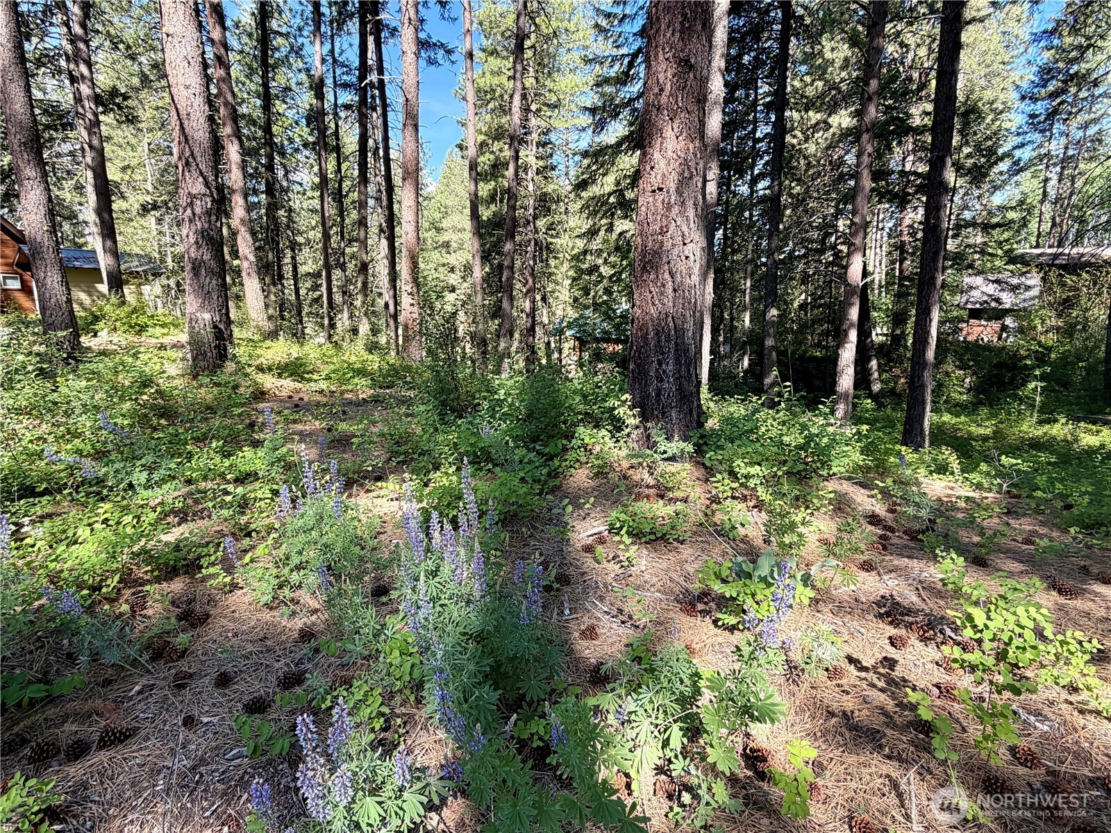 11 Highland Meadows Property Photo 18