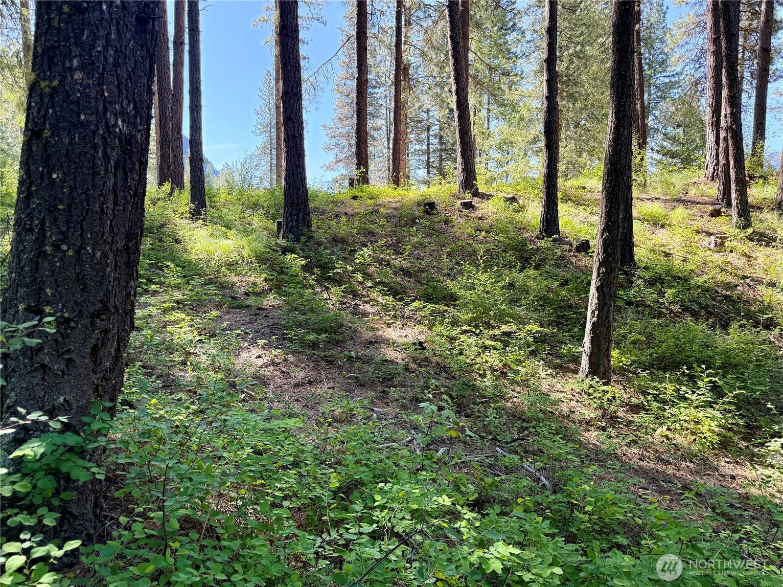 11 Highland Meadows Property Photo 19