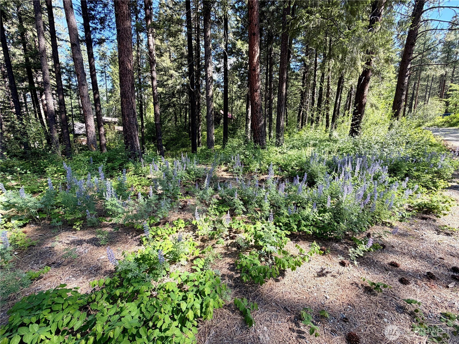 11 Highland Meadows Property Photo 20