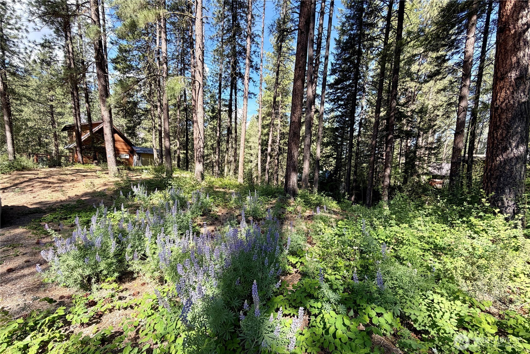 11 Highland Meadows Property Photo 21