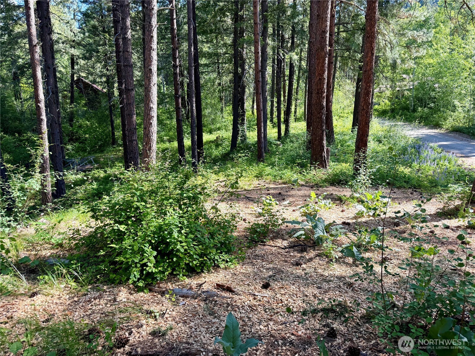 11 Highland Meadows Property Photo 22