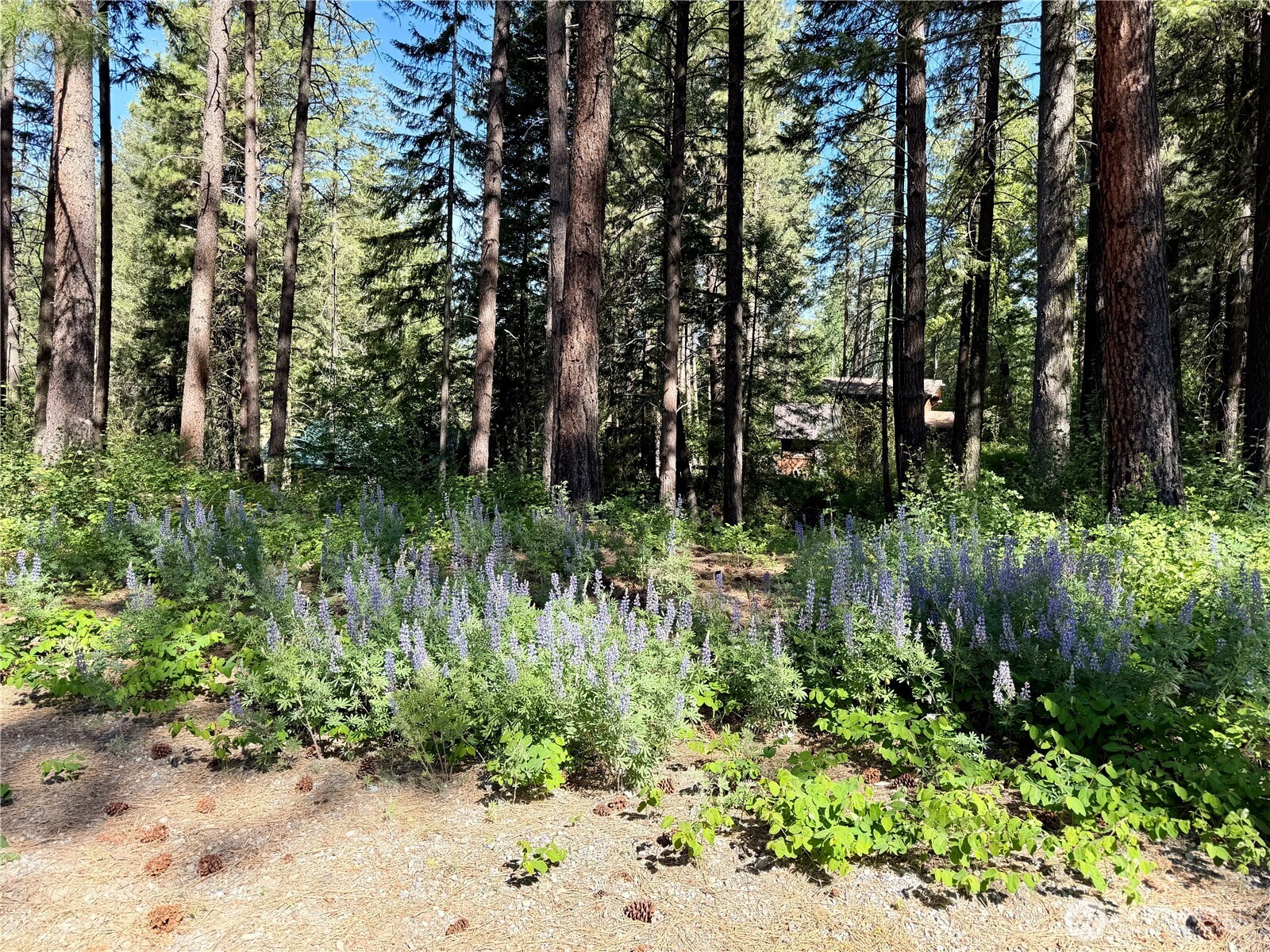 11 Highland Meadows Property Photo 23