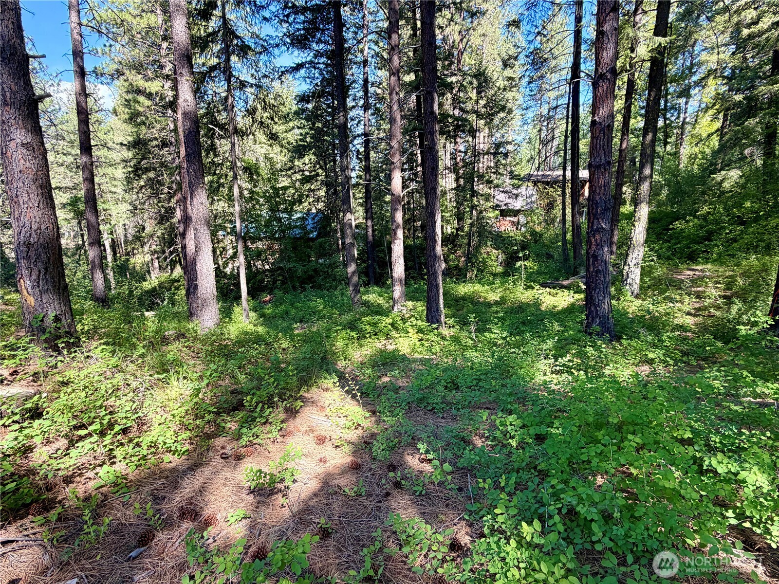 11 Highland Meadows Property Photo 24