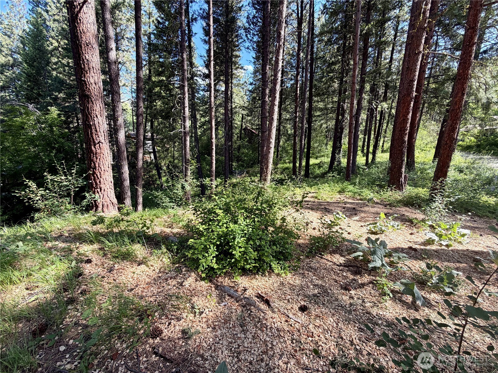 11 Highland Meadows Property Photo 25