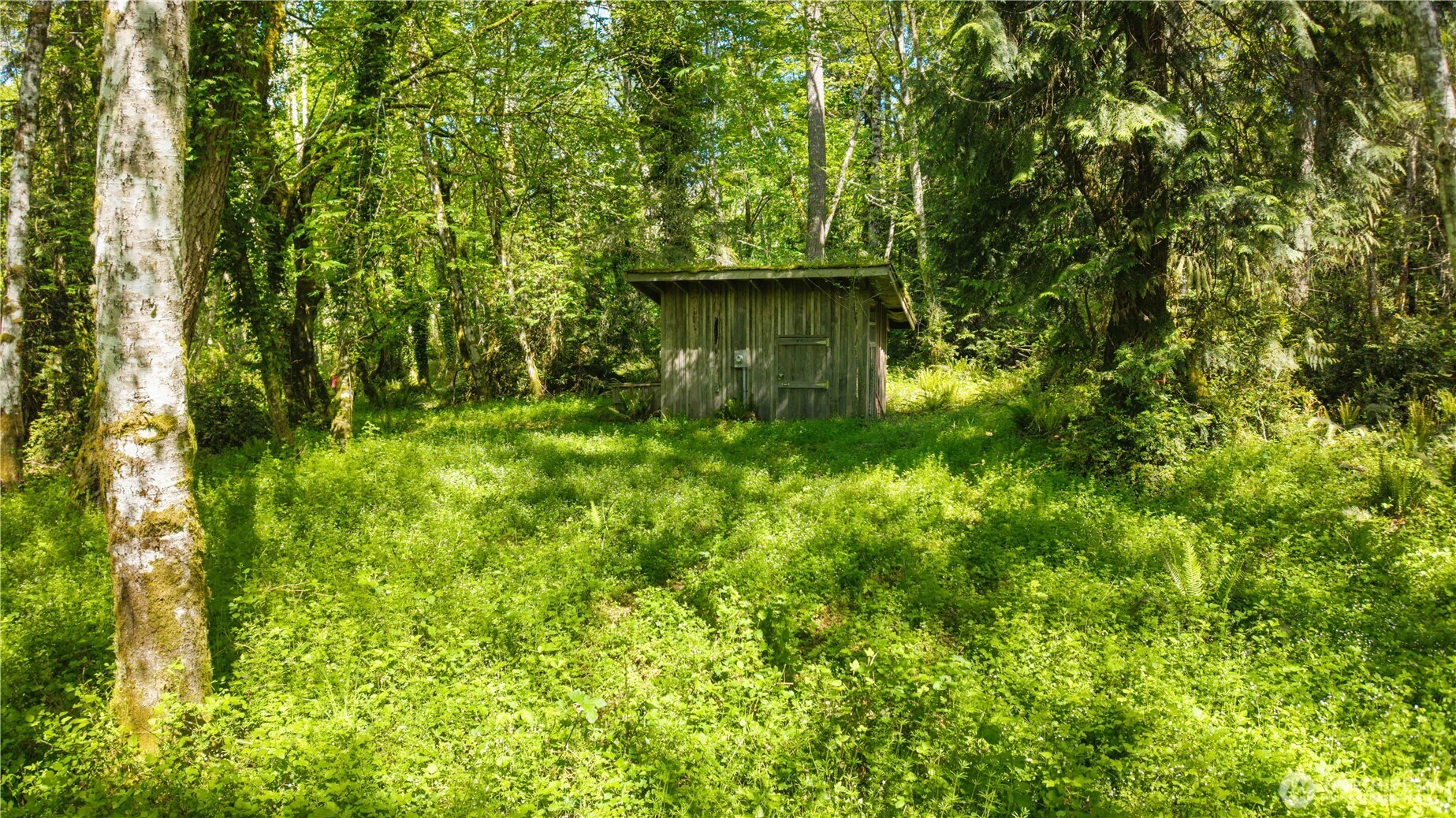2528446 Property Photo 2