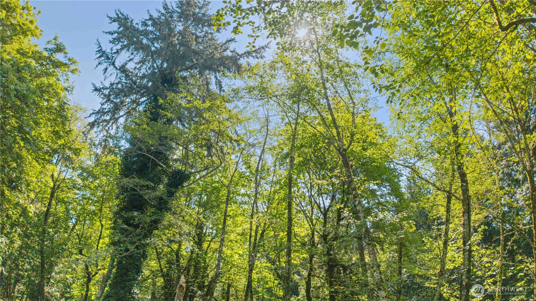 2528446 Property Photo 5