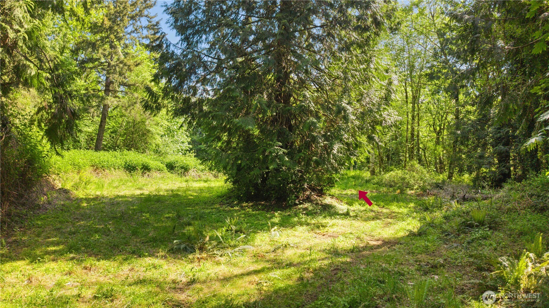 2528446 Property Photo 6