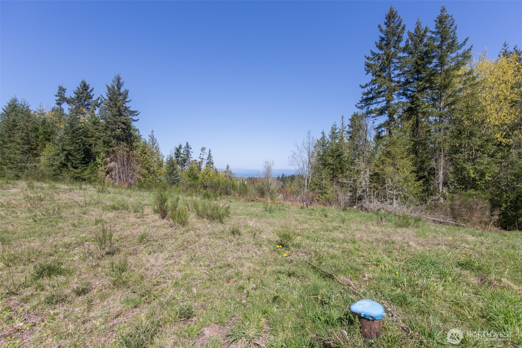 112 Chasewood Drive Property Photo 10