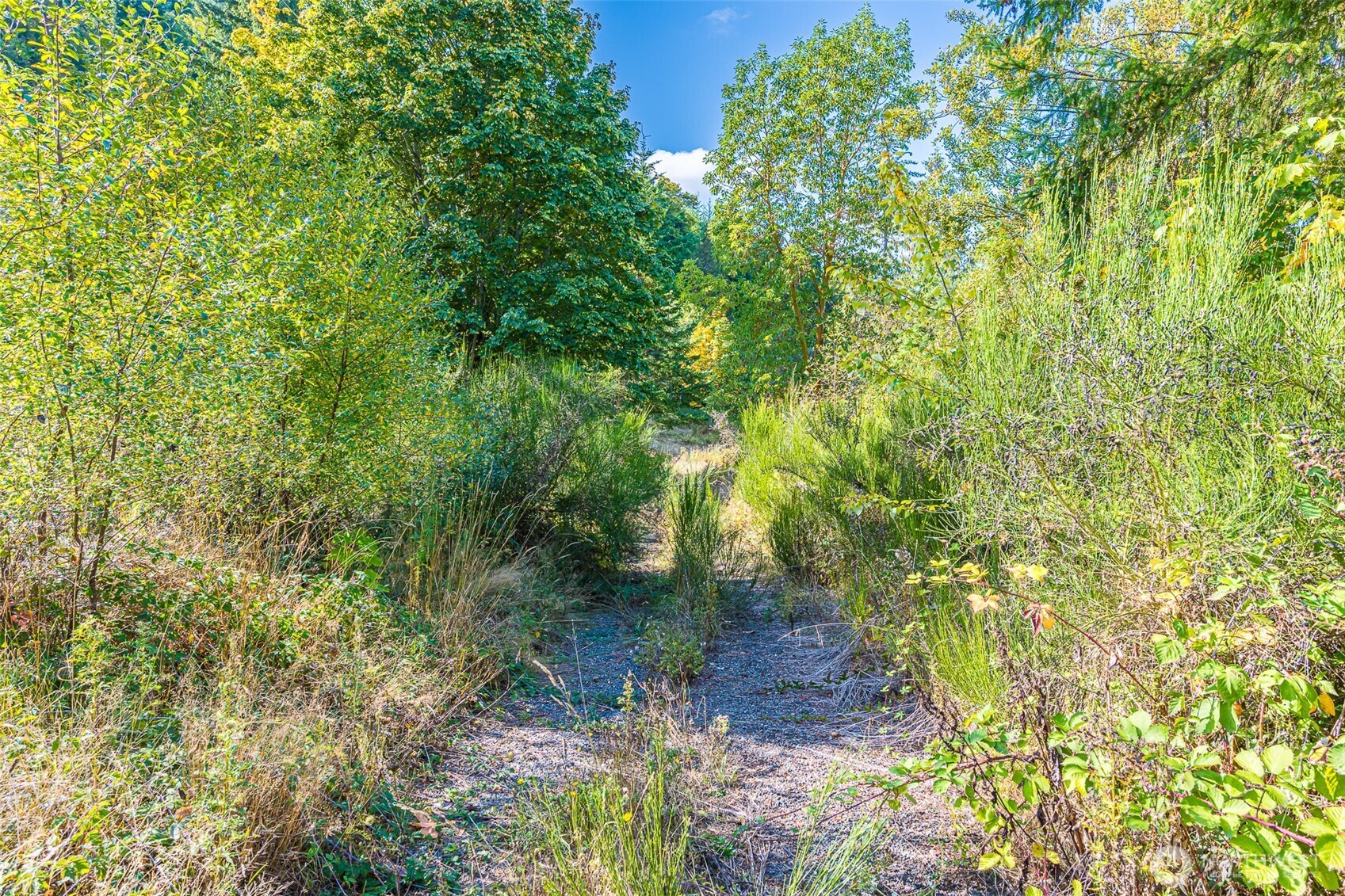 112 Chasewood Drive Property Photo 13