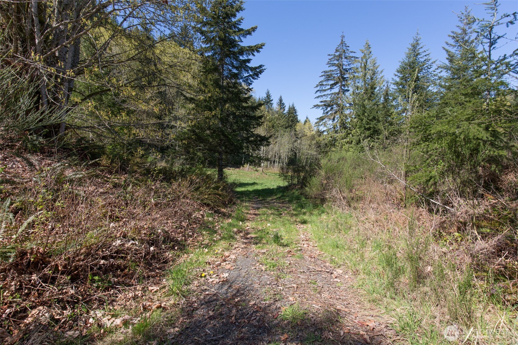 112 Chasewood Drive Property Photo 14