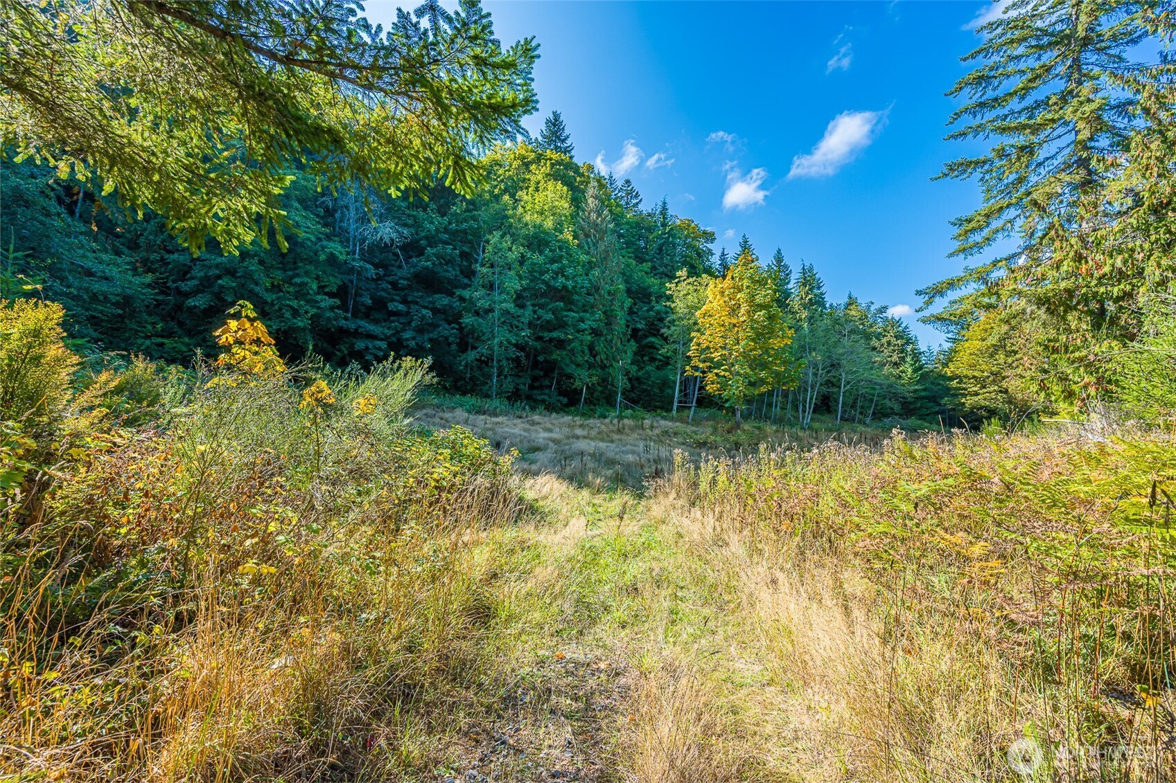112 Chasewood Drive Property Photo 15