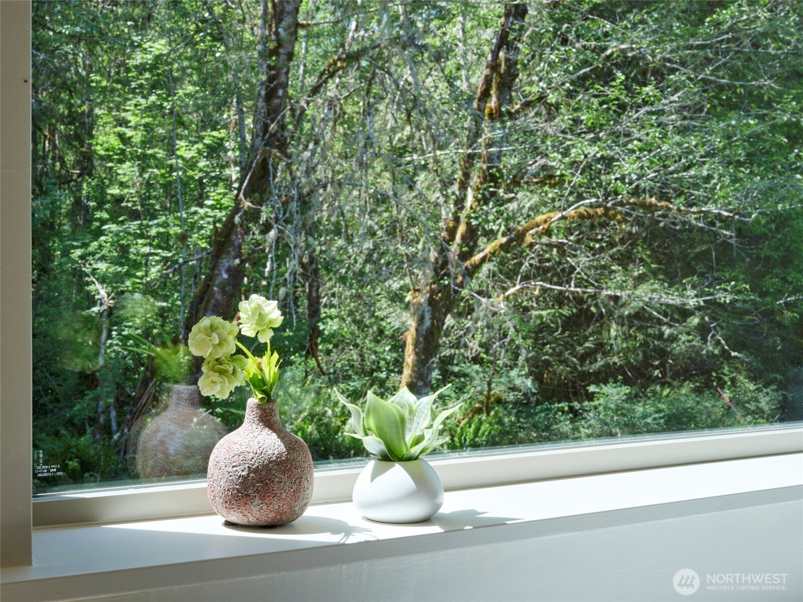 956 Paine Road Property Photo 17