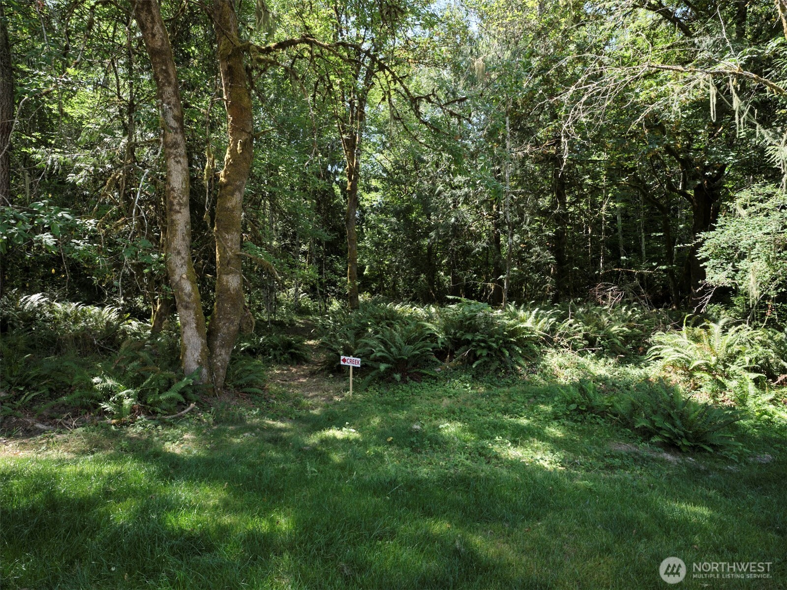 956 Paine Road Property Photo 38