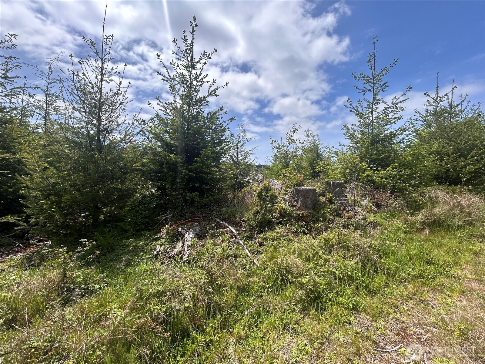 0 Eden Valley Road Property Photo 8