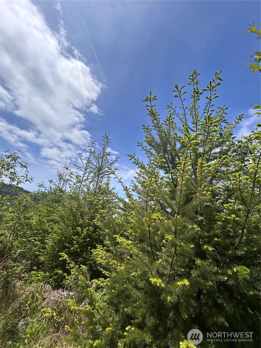0 Eden Valley Road Property Photo 9