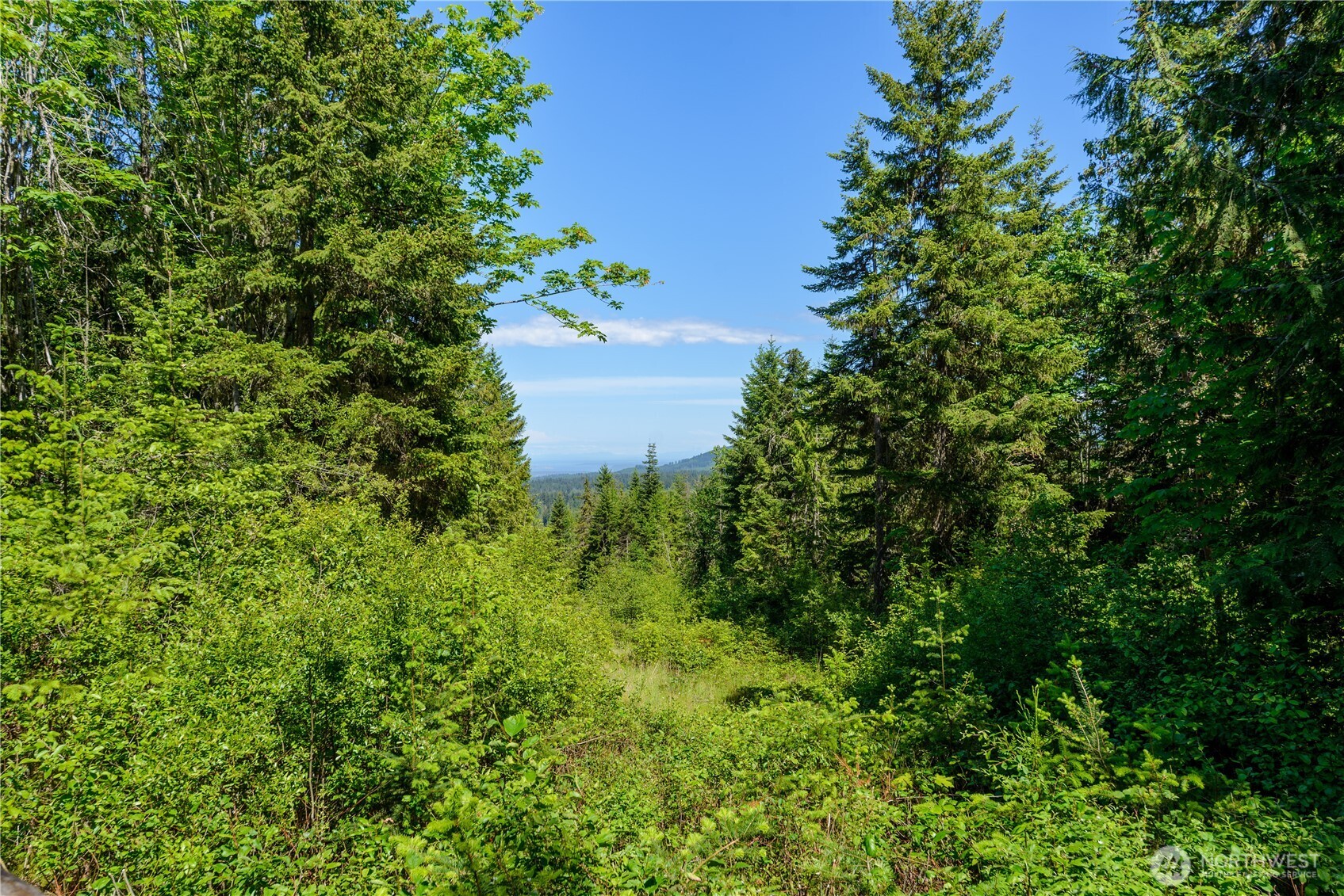 1648 Township Line Road Property Photo 27