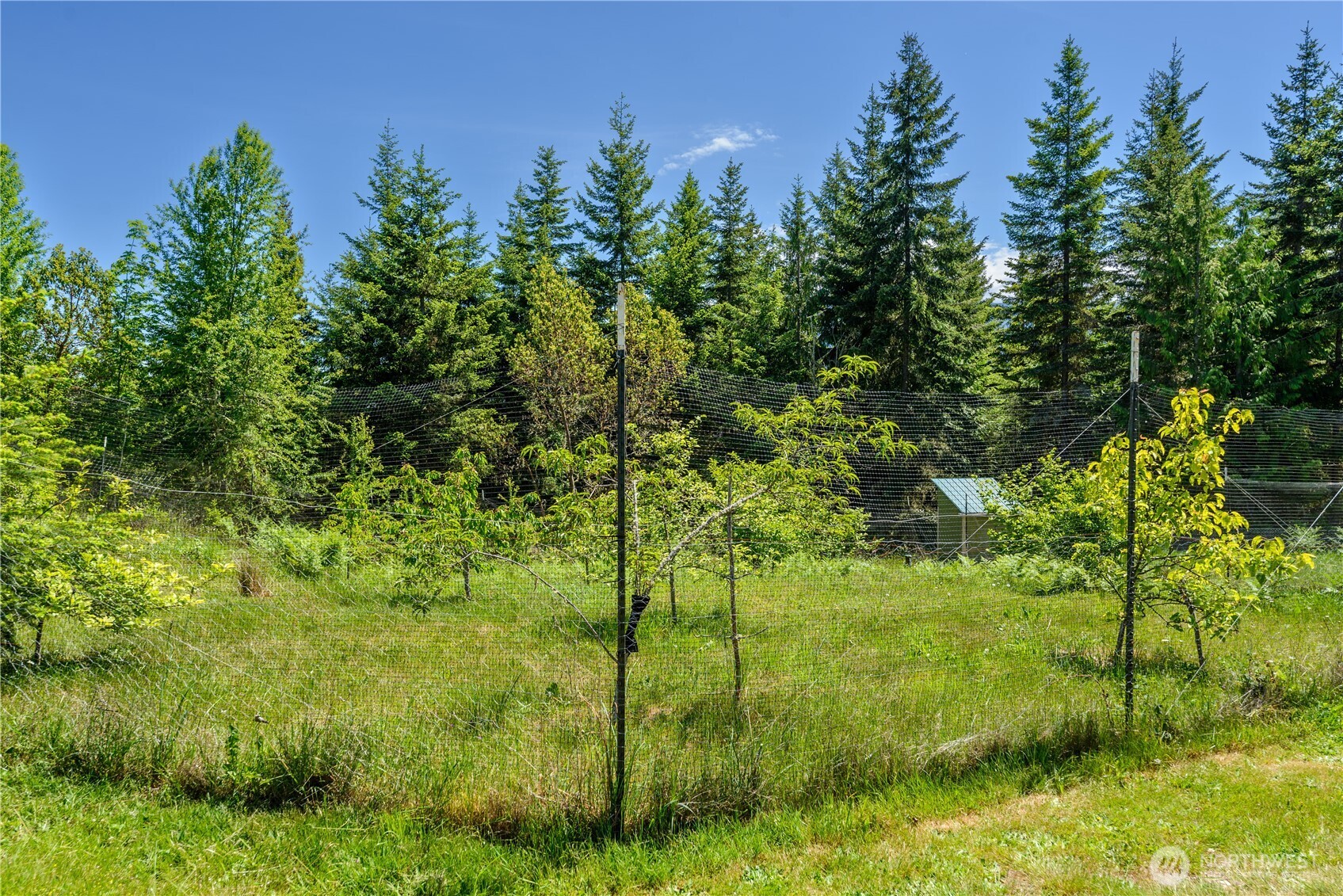 1648 Township Line Road Property Photo 35