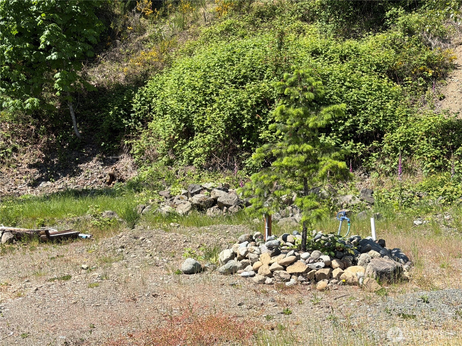 1 X Buena Vista Way Property Photo 22