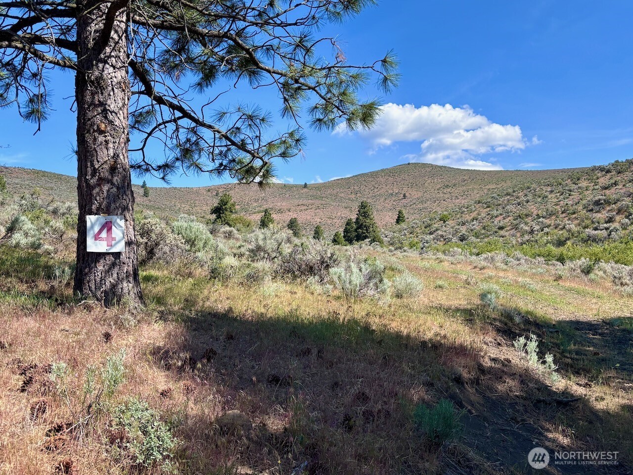 4 Xx Secret Canyon Road Property Photo 4